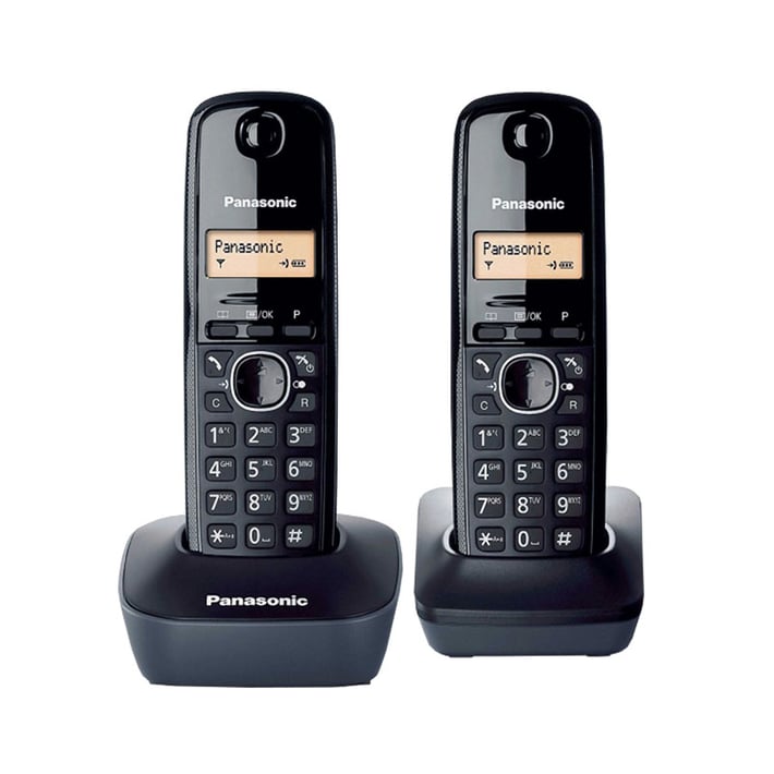 Panasonic DECT телефон KX-TG1612FXH, с допълнителна слушалка