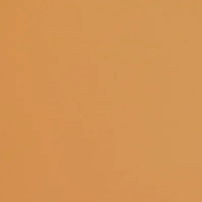 Fabriano Картон Colore, 70 x 100 cm, 200 g/m2, № 223, светлокафяв