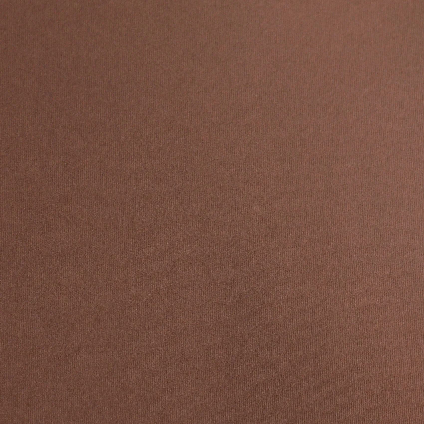Fabriano Картон Elle Erre, 70 x 100 cm, 220 g/m2, № 106, тъмнокафяв