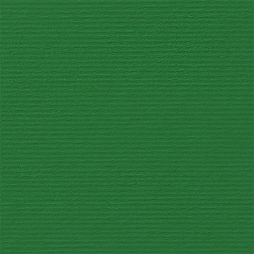Fabriano Картон Elle Erre, 70 x 100 cm, 220 g/m2, № 111, зелен