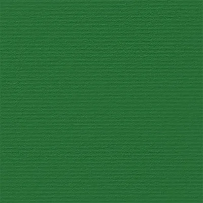 Fabriano Картон Elle Erre, 70 x 100 cm, 220 g/m2, № 111, зелен