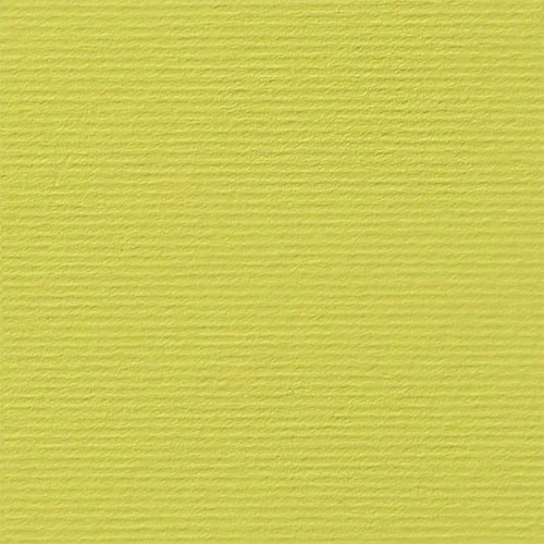 Fabriano Картон Elle Erre, 70 x 100 cm, 220 g/m2, № 125, кедър