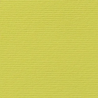 Fabriano Картон Elle Erre, 70 x 100 cm, 220 g/m2, № 125, кедър