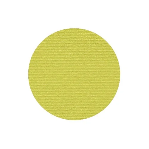 Fabriano Картон Elle Erre, 70 x 100 cm, 220 g/m2, № 125, кедър
