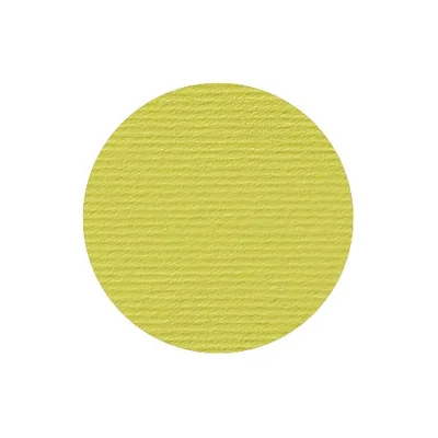 Fabriano Картон Elle Erre, 70 x 100 cm, 220 g/m2, № 125, кедър