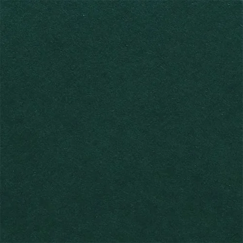 Fabriano Картон Elle Erre, 70 x 100 cm, 220 g/m2, № 128, тъмнозелен