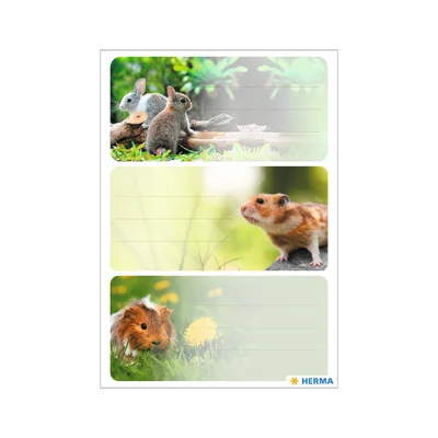 Herma Самозалепващи се етикети Гризачи, ученически, 9 броя