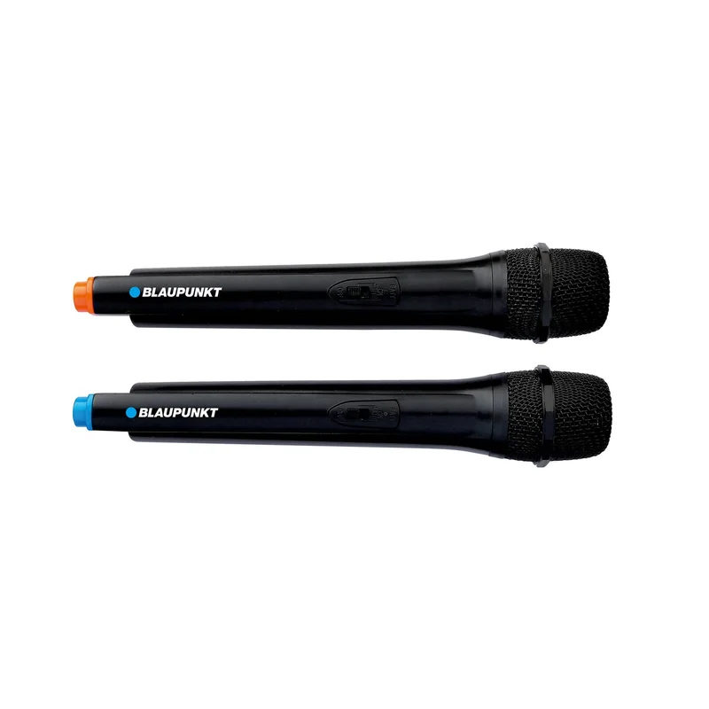 Тонколона Blaupunkt PB06DB, FM радио, USB/SD/AUX, 500 W, с 2 безжични микрофона