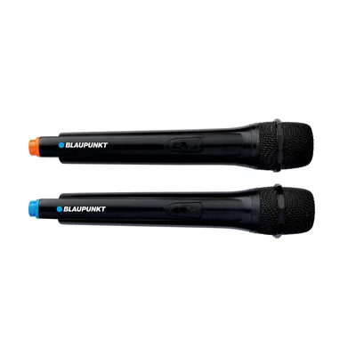 Тонколона Blaupunkt PB10DB, FM радио, USB/SD/AUX, 1000 W, с 2 бежични микрофона