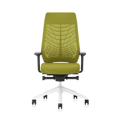 Eргономичен стол Interstuhl Joyce JC267, дамаска и меш, Synchronous механизъм, до 120 kg, светлосив/зелен