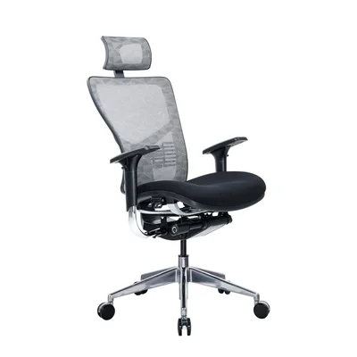 Ергономичен стол RFG TECH@PRO, Multi-function механизъм, до 250 kg, черна седалка, бяло-черна облегалка
