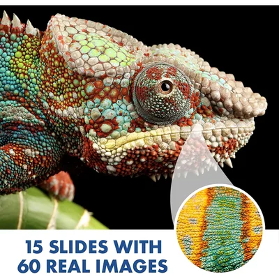 Learning Resources Микроскоп Geosafari Kidscope, детски