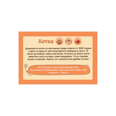 Office 1 Образователни карти - Животни, 50 броя