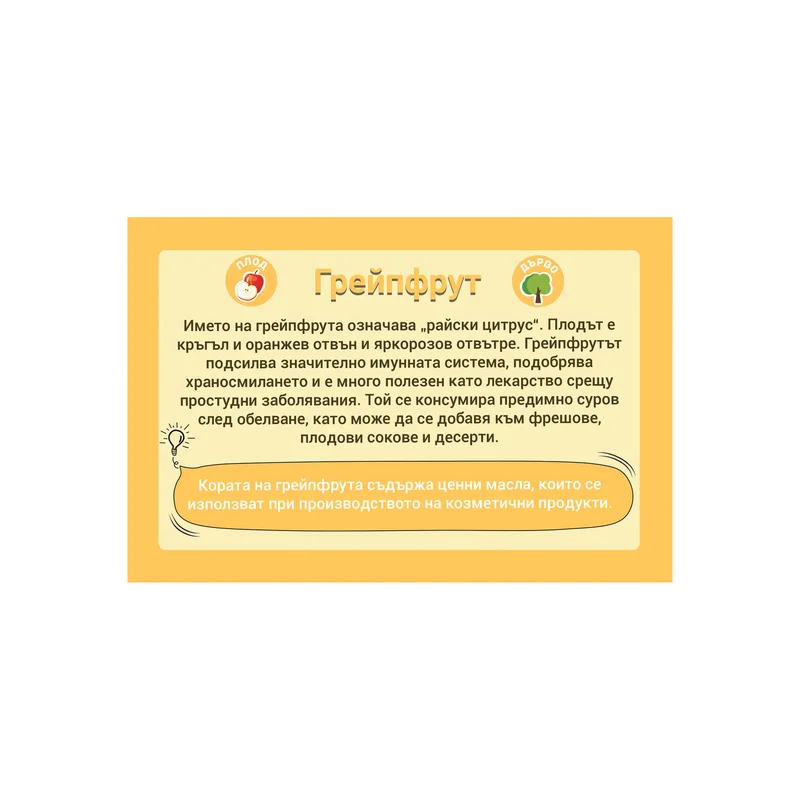 Office 1 Образователни карти - Плодове и зеленчуци, 50 броя