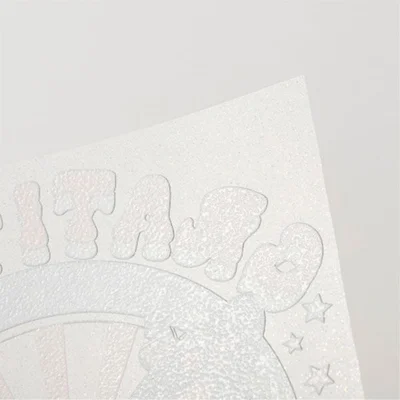 OtterPro Филм DTF, трансферен, 0.3 x 10 m, glitter rainbow