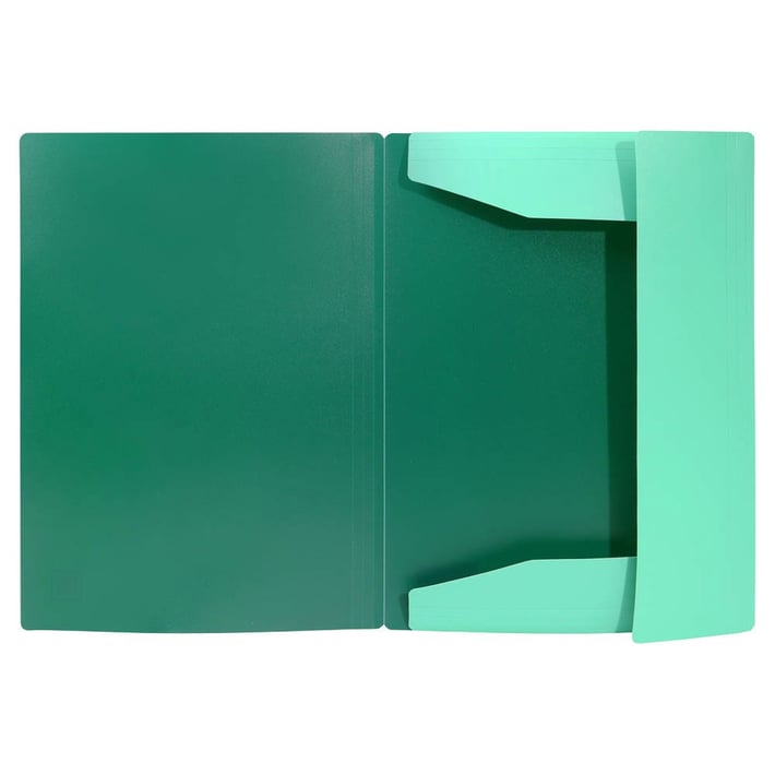 Папка Biro Time Mapp, с ластик, А4, зелена