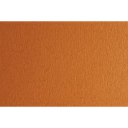 Fabriano Картон Colore, 70 x 100 cm, 140 g/m2, № 223, светлокафяв