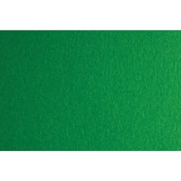 Fabriano Картон Colore, 70 x 100 cm, 140 g/m2, № 231, зелен
