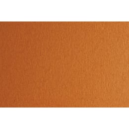 Fabriano Картон Colore, 50 x 70 cm, 200 g/m2, № 223, светлокафяв
