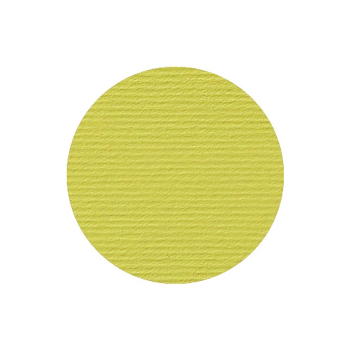 Fabriano Картон Elle Erre, 70 x 100 cm, 220 g/m2, № 125, кедър