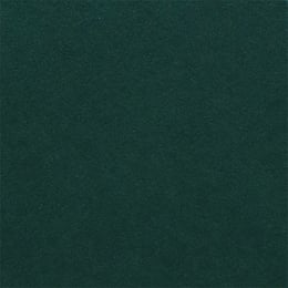 Fabriano Картон Elle Erre, 70 x 100 cm, 220 g/m2, № 128, тъмнозелен