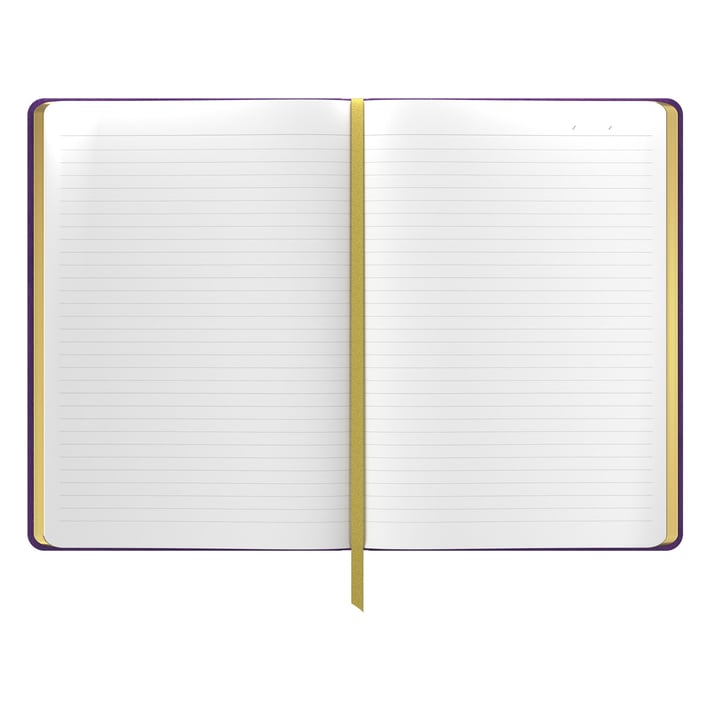 Art Pioneer Тетрадка Velvet Executive, A5, корица кадифе, 96 листа, лилава