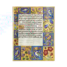 Paperblanks Тефтер Ancient Illumination, Ultra, широки редове, мека корица, 88 листа