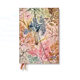 Paperblanks Планер Anemone, Midi, Verso, твърда корица, 80 листа, за 2026 година