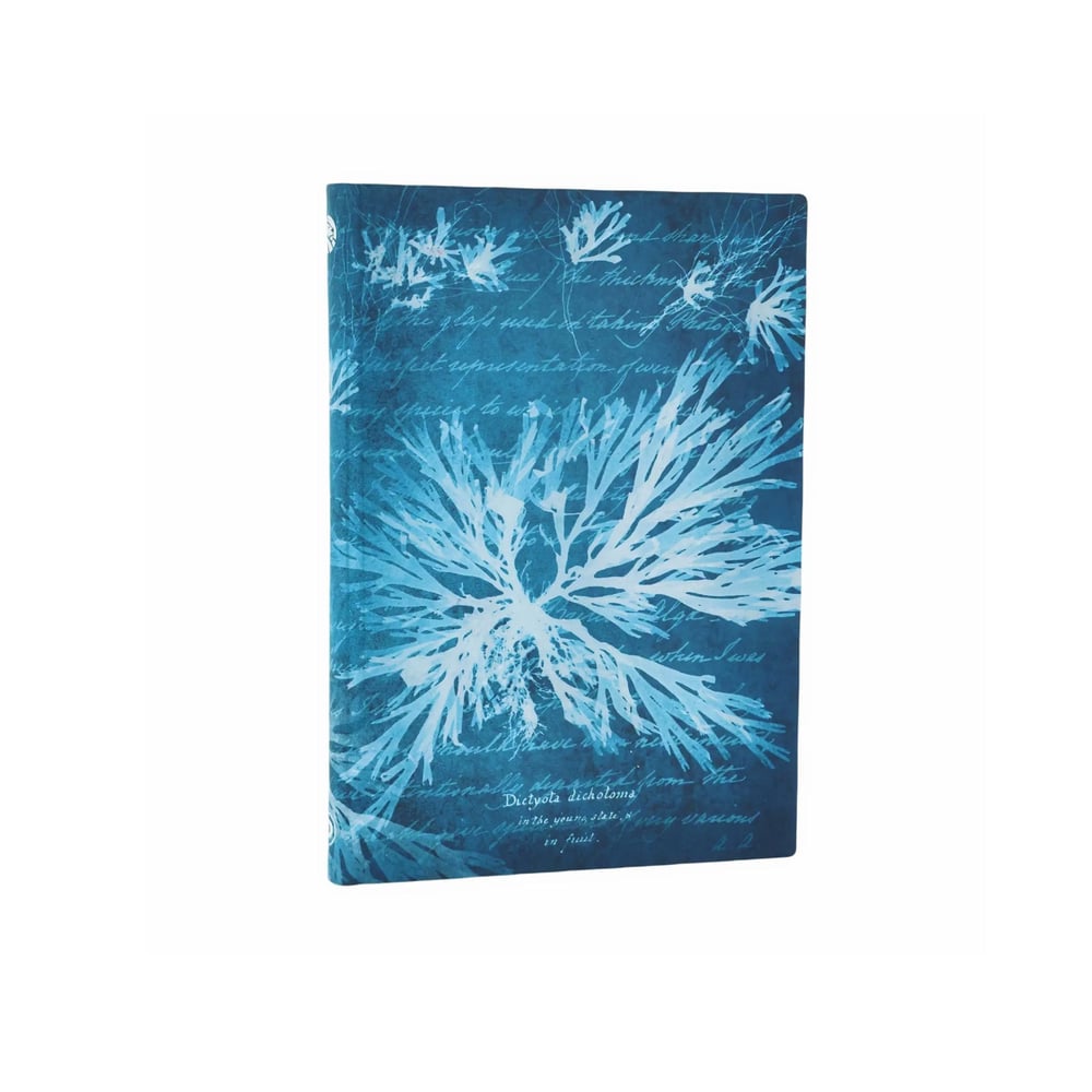 Paperblanks Тефтер Sea Flowers, Mini, мека корица, широки редове, 104 листа