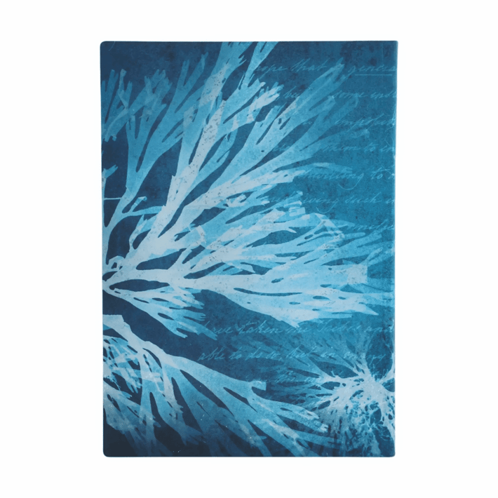 Paperblanks Тефтер Sea Flowers, Ultra, мека корица, нелиниран, 88 листа