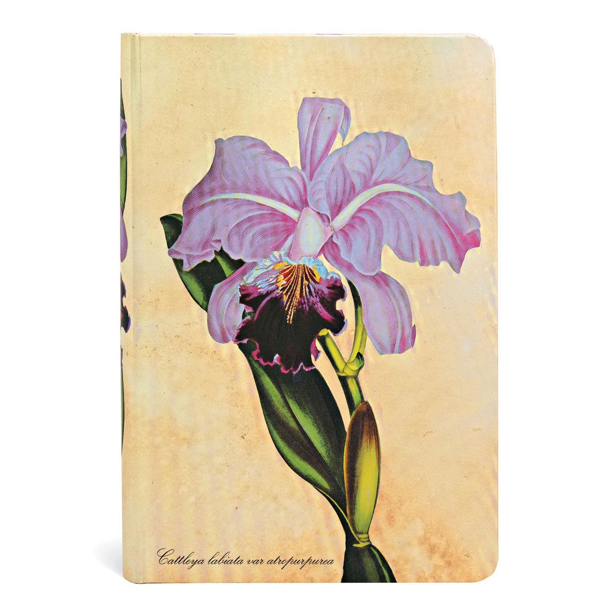 Paperblanks Тефтер Brazilian Orchid, Mini, 88 листа