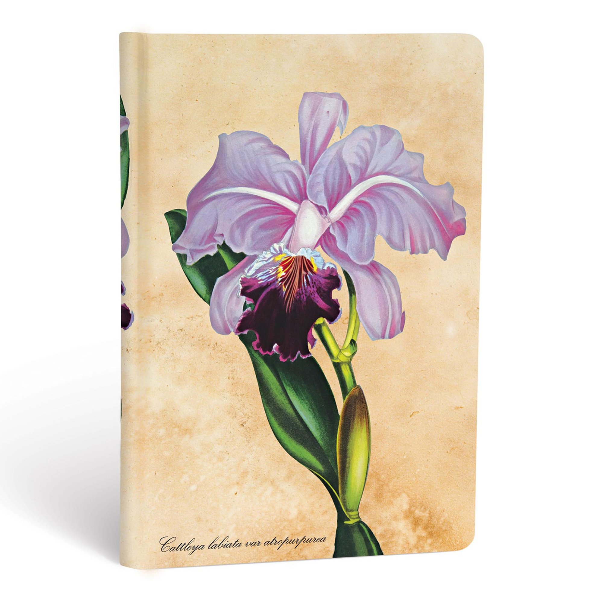 Paperblanks Тефтер Brazilian Orchid, Mini, 88 листа