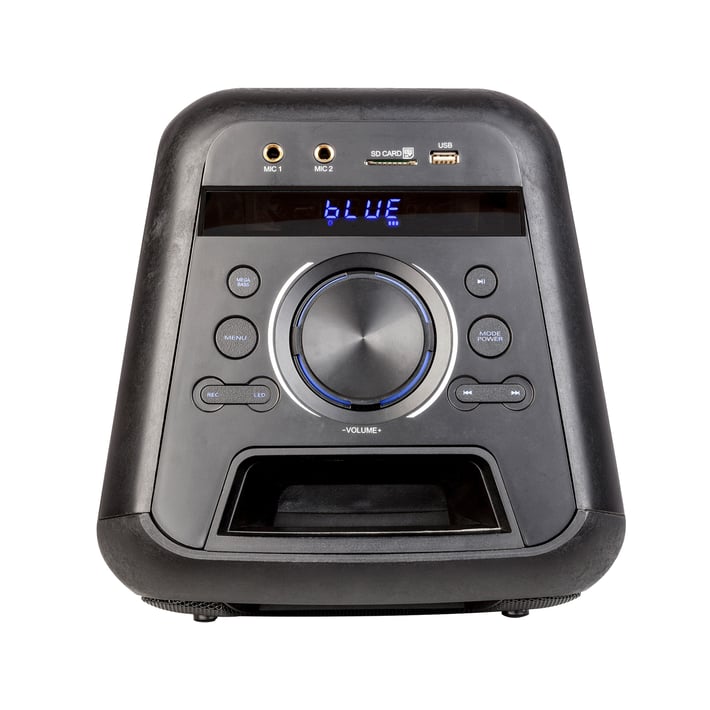 Тонколона NGS Wild Jam, с Bluetooth, 120W