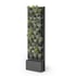 Стена Hush Wall Green, 640 х 220 х 2148 mm