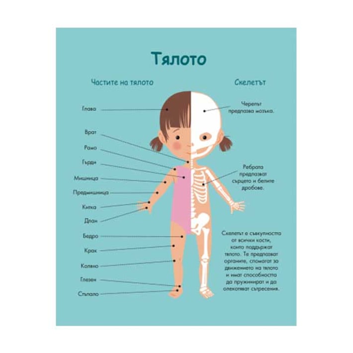 Енциклопедия за най-малките - Моето тяло