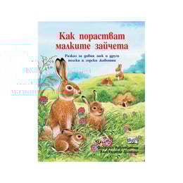 Как порастват малките зайчета