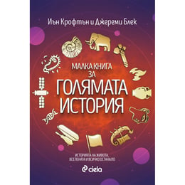 Малка книга за голямата история