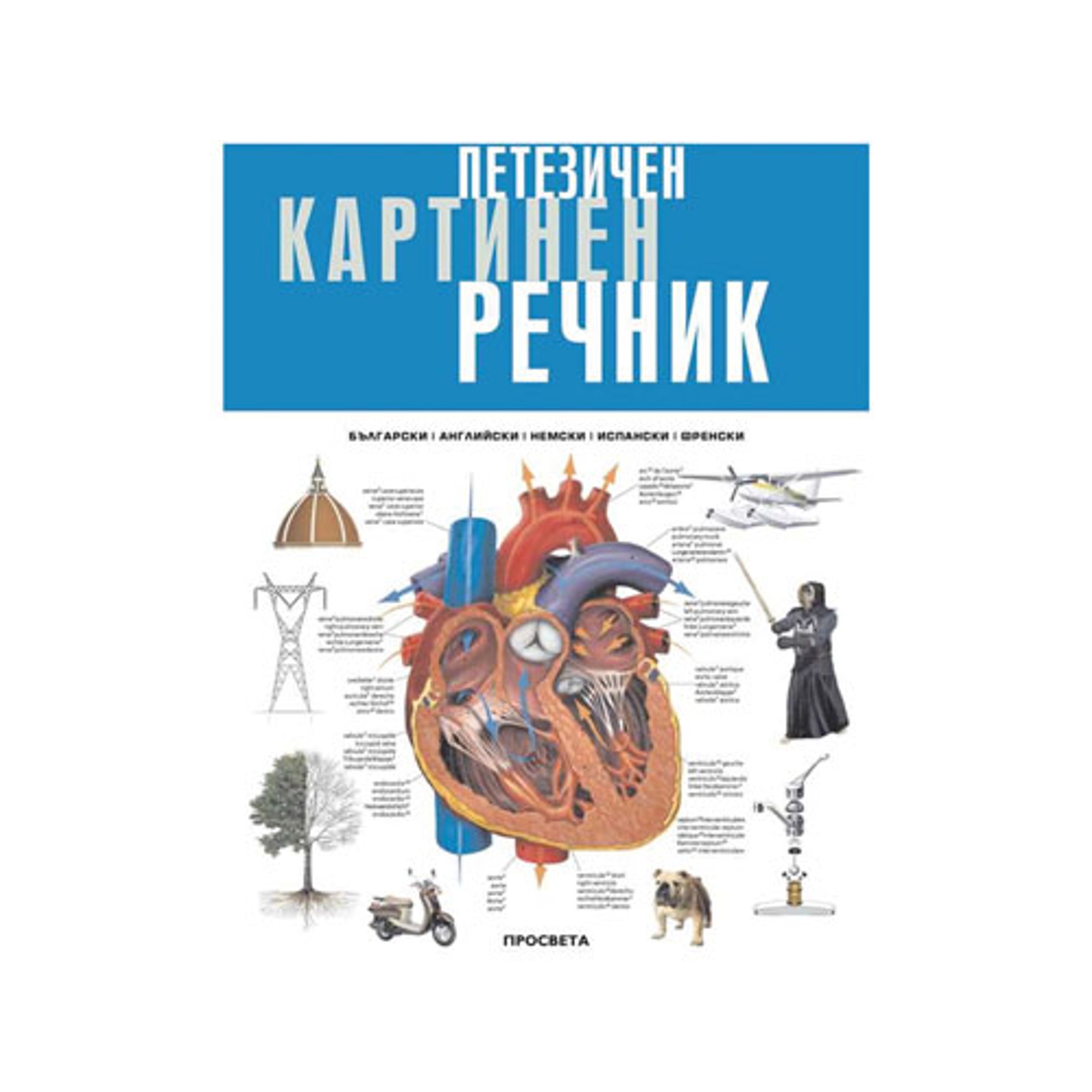 Петезичен картинен речник, Просвета