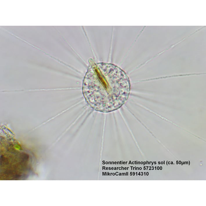 Bresser Микроскоп Researcher Trino, 40x - 1000x