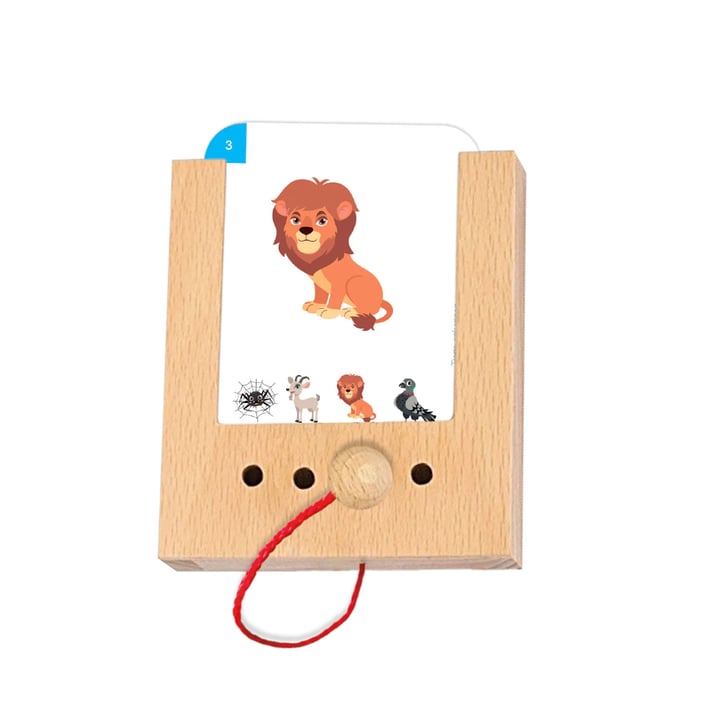 Образователни карти, за кутия Puncho - Познай животното, над 2 години