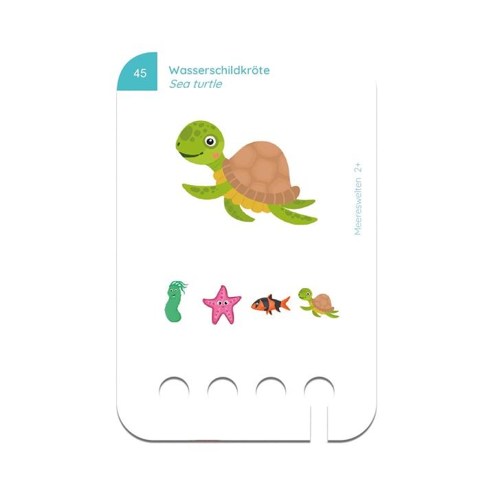 Образователни карти, за кутия Puncho - Морски свят, над 2 години