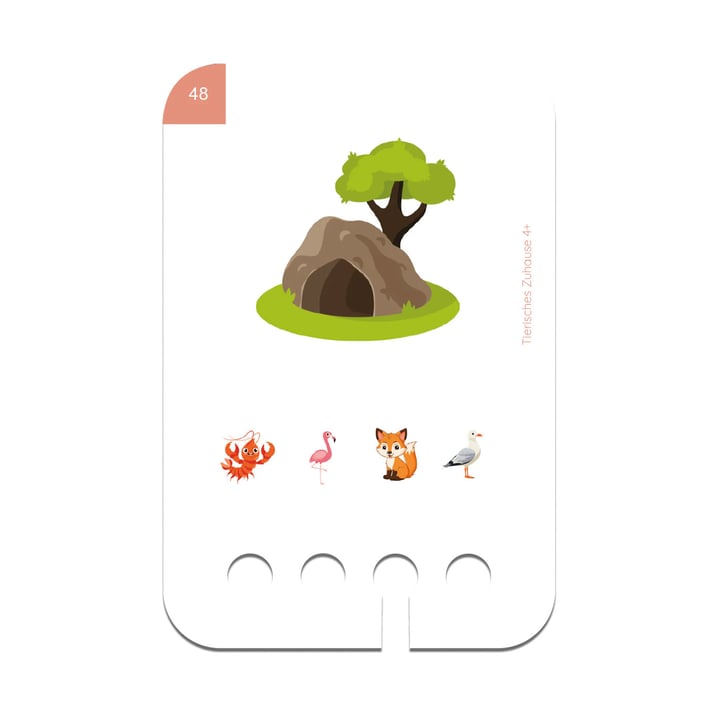 Образователни карти, за кутия Puncho - Къде живеят животните, над 4 години