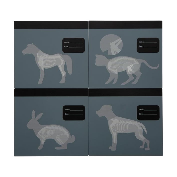 Small Foot Ветеринарна чанта, с медицинско оборудване и зайче