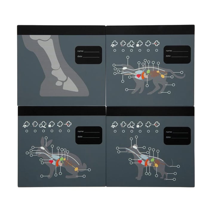 Small Foot Ветеринарна чанта, с медицинско оборудване и зайче