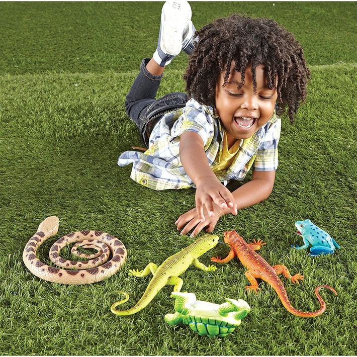 Learning Resources Влечуги и земноводни, 5 броя