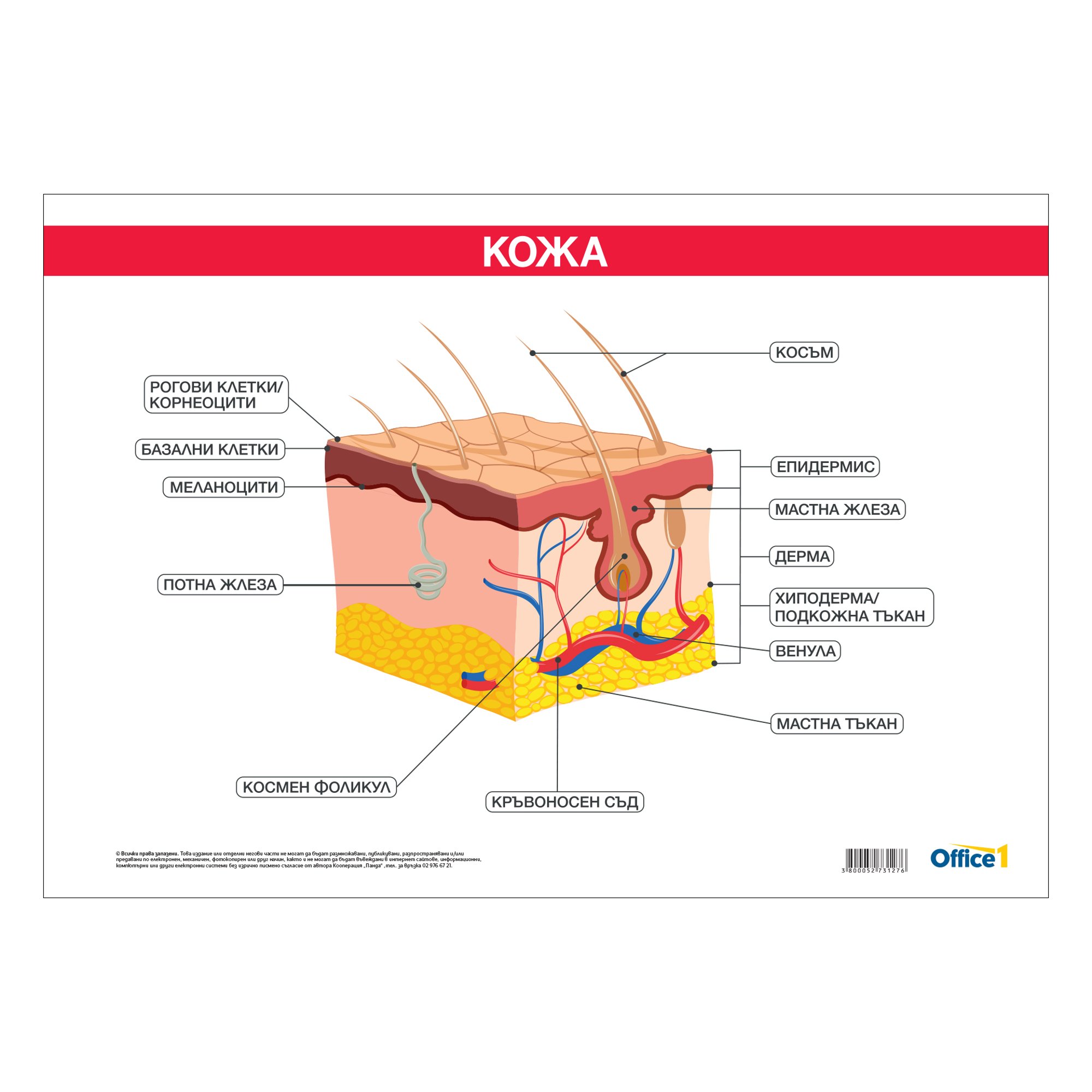 Office 1 Ученическо табло ''Кожа'', 100 x 70 cm