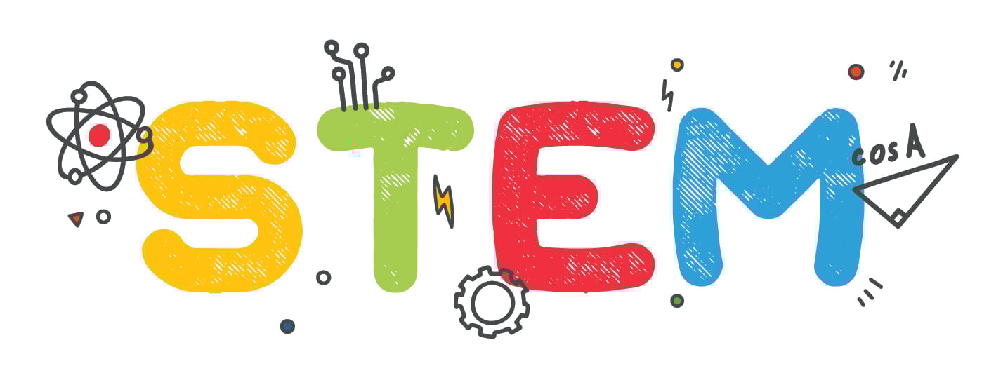 stem